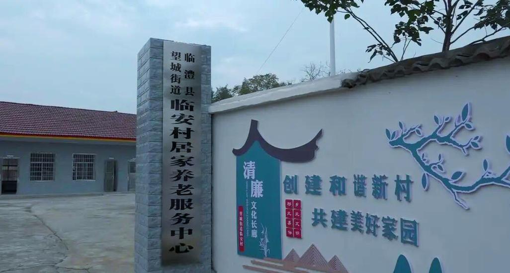 临澧县农村养老服务体系的多元化发展与提升